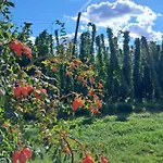 Holledauer Hopfakammerl