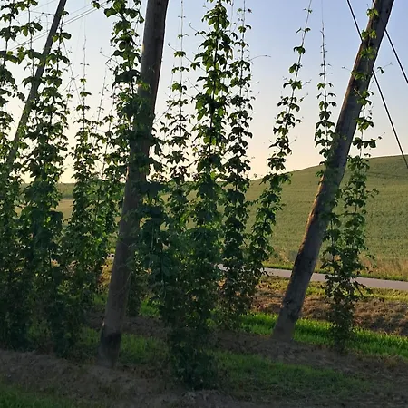 Holledauer Hopfakammerl Daire